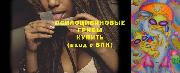 трава Армянск