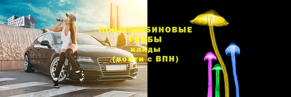 трава Армянск