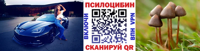Псилоцибиновые грибы прущие грибы Балей